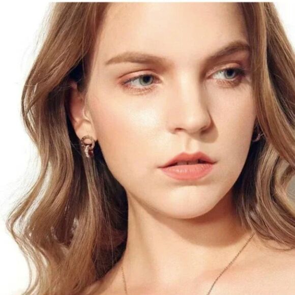 ✨🆕✨ Elegant Chic ROSEGOLD Roman Numerals Titanium Steel Stud Earrings ✨ - Picture 4 of 13